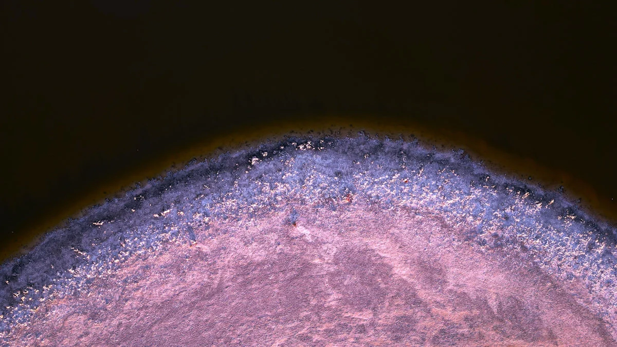 Jak fotobiomodulacja wspomaga rehabilitację przy problemach z mikrokrążeniem