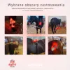 Lumaflex® Essential + Horse - Zestaw Paneli LED dla Koni