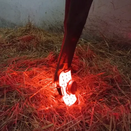 Lumaflex® Essential + Horse - Zestaw Paneli LED dla Koni