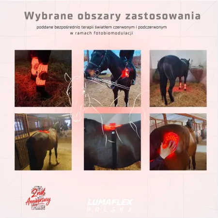 The Body Pro + | Panel terapii światłem czerwonym Ultimate